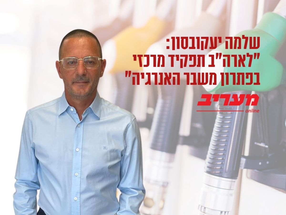 שלמה יעקבסון. ניתוח משבר האנרגיה מתוך מעריב